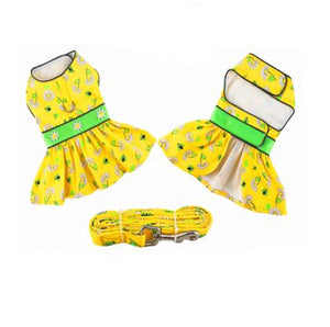 Ladybugs and Daisies Dog Dress and Matching Leash