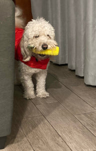 Corn-Shaped Dog Dental Chew Toy