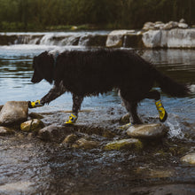 Load image into Gallery viewer, Body Glove Paw Protector Booties – All-Weather Dog Boots with Neoprene &amp; Rubber Soles
