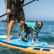 Load image into Gallery viewer, Body Glove Neoprene Pet Life Vest – Comfortable &amp; Secure Dog Life Jacket
