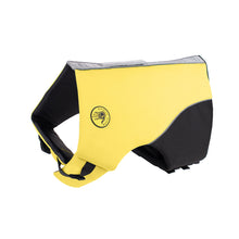 Load image into Gallery viewer, Body Glove Neoprene Pet Life Vest – Comfortable &amp; Secure Dog Life Jacket
