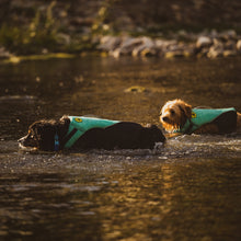 Load image into Gallery viewer, Body Glove Neoprene Pet Life Vest – Comfortable &amp; Secure Dog Life Jacket
