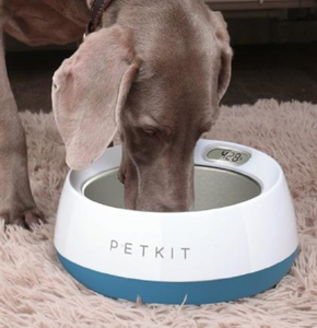 PETKIT FRESH METAL Smart Anti-Bacterial Pet  Bowl