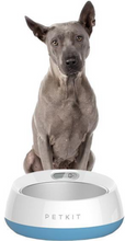 Load image into Gallery viewer, PETKIT FRESH METAL Smart Anti-Bacterial Pet  Bowl
