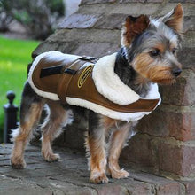 Load image into Gallery viewer, Classic Co-Pilot Dog Bomber Harness Coat

