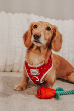 Load image into Gallery viewer, 💘 Valentine’s Velvet Heart Dog Harness
