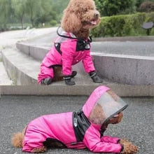 Pet Transparent Raincoat