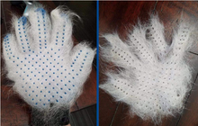 Load image into Gallery viewer, Pet Grooming Glove
