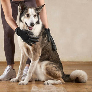 Groom, De-Shed All In One Pet Glove!