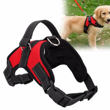 Load image into Gallery viewer, Fast Shipping Adjustable Dog Pet Harness
