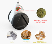 Load image into Gallery viewer, Tumbler Balanced Wheel Swinging Ball Cat Toy
