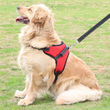 Load image into Gallery viewer, Fast Shipping Adjustable Dog Pet Harness
