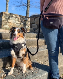 HANDS FREE ROPE LEASH