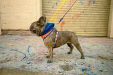 Load image into Gallery viewer, Champion x Fresh Pawz | Hoodie-Inspired Dog Harness
