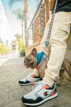 Load image into Gallery viewer, Champion x Fresh Pawz | Hoodie-Inspired Dog Harness
