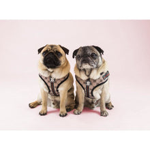 Load image into Gallery viewer, Mesh Comfort | G-Pattern Adjustable Pet Harness&quot;
