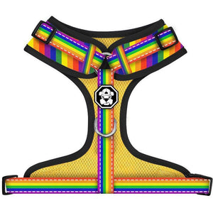 Rainbow Pride | Adjustable Mesh Harness